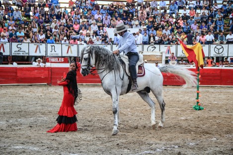 En la plaza de toros Alberto Balderas de Xico, Veracruz se llevó a la cabo la presentación de los Caballos Domecq y Escaramuzas como parte del programa de eventos artístiscos de la fiesta patronal en honor a Santa María Magdalena.