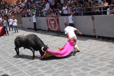 Con muy pocos momentos de emoción se llevó a cabo el Encierro y Capea de toros en las fiestas patronales en honor a Santa María Magdalen en Xico, Veracruz.