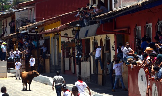 Con reglas distintas y con algunos pobladores en desacuerdo, quienes no colocaron gradas en sus domicilios como en años anteriores, se llevó a cabo la Xiqueñada 2017, donde los participantes debían de registrarse previamente y no estar alcoholizados, además que los toros fueron soltados en intervalos y no todos juntos como era costumbre.