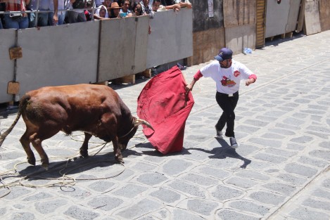 Los toros casi todo el tiempo estuvieron inmóviles con lo cual los <em>toreros<em> participantes no tuvieron mucho que arriesgar y el público se aburría ante la poca acción en dicho evento. 