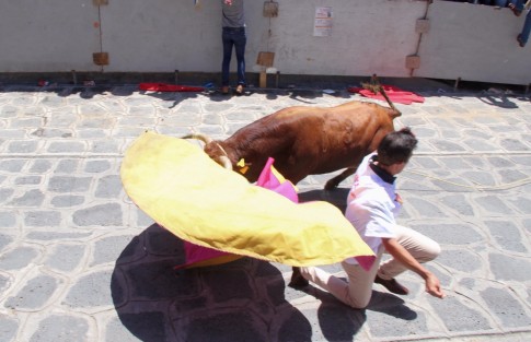 Con muy pocos momentos de emoción se llevó a cabo el Encierro y Capea de toros en las fiestas patronales en honor a Santa María Magdalen en Xico, Veracruz.  
