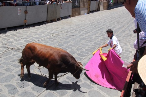 Con muy pocos momentos de emoción se llevó a cabo el Encierro y Capea de toros en las fiestas patronales en honor a Santa María Magdalen en Xico, Veracruz.  
