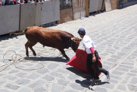 Con muy pocos momentos de emoción se llevó a cabo el Encierro y Capea de toros en las fiestas patronales en honor a Santa María Magdalen en Xico, Veracruz.  