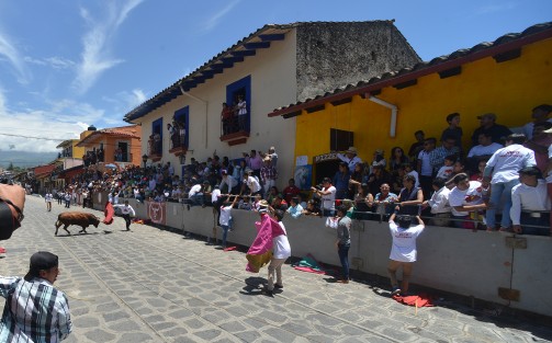 Con reglas distintas y con algunos pobladores en desacuerdo, quienes no colocaron gradas en sus domicilios como en años anteriores, se llevó a cabo la Xiqueñada 2017, donde los participantes debían de registrarse previamente y no estar alcoholizados, además que los toros fueron soltados en intervalos y no todos juntos como era costumbre.
