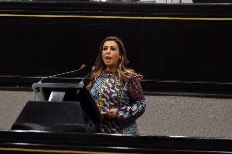 La diputada, Mariana Dunyaska García Rojas, presentó ante el Congreso del Estado de Veracruz, una iniciativa con proyecto de decreto para que se reforme el artículo 5° de la Constitución Política para promover y proteger el desarrollo de las comunidades afromexicanas. 