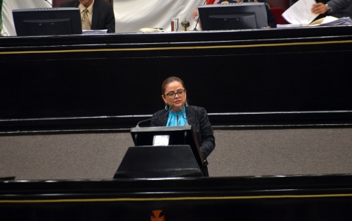 La diputada de MORENA, Daniela Griego, expuso algunos puntos por lo cual no estaba de acuerdo con la creación del fideicomiso propuesto por el gobernador Yunes Linares, los cuales no dan transparencia a la iniciativa. 