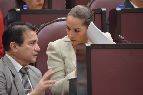  Para establecer que la educación especial atenderá a las personas con Trastorno del Espectro Autista a fin de lograr su participación plena y efectiva en la sociedad a través de identificar, prevenir, eliminar las barreras que limitan su aprendizaje, la diputada Cinthya Lobato Calderón presentó una iniciativa que reformaría el artículo 41 de la Ley General de Educación.