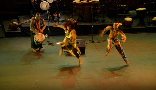 Con gran éxito se llevó a cabo la presentación de gala inaugural del Festival Internacional Raíces 2017, con la participación de la compañía  Haourona dembele & Parissi, en el Teatro de Estado, General Ignacio de la Llave en Xalapa.. 