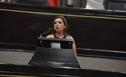 La diputada Mariana Dunyaska García Rojas presentó un anteproyecto con Punto de Acuerdo para exhortar al Gobierno Federal para que detenga el recorte presupuestal que se realiza al Servicio Nacional de Empleo (SNE) en Veracruz y que ha ocasionado el despido de trabajadores.
