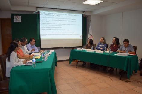 En la sede de la Comisipon Estatal de Derechos Humanos se presentó el diagnóstico de la situación actual de los derechos de las niñas, niños y adolescentes en Veracruz, donde es cada vez más frecuente la violación de sus garantías a una vida libre sin violencia. 
