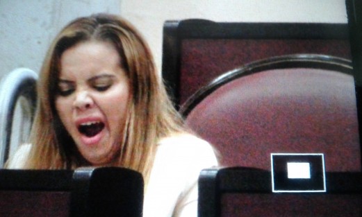 Entre los jóvenes parlamentarios algunos muestran que tienen con qué llegar algún día a diputados 