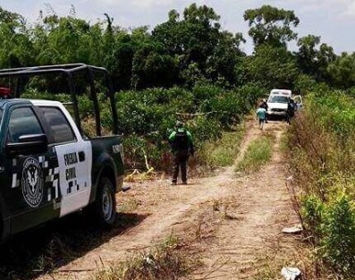 En otro hecho sangriento este lune en Martínez de la Torre, Ver.fue hallado el cadáver de un hombre en en el municipio de Martínez de la Torre, en la comunidad de Villa Nueva, cerca del lugar conocido como El Piñero. El cuerpo estaba en estado de descomposición. 