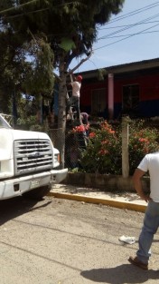 Un hombre murió electrocutado en la congregación de El Casillo, municipio de Xalapa cuando acidentalmente tocó los cables de electricidad mientras podaba un pino.
