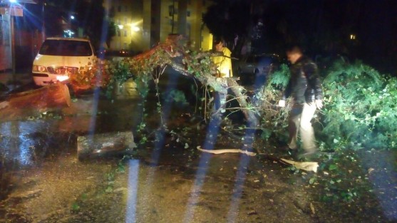 Quince árboles caídos durante la noche del miércoles y la madrugada del jueves, sin que se registraran lesionados, es el saldo del reporte preliminar, a las 7 de la mañana, de afectaciones en Xalapa por el paso del huracán Franklin, el cual se debilitó a tormenta tropical sobre el norte de Puebla,  informó el Subdirector de Protección Civil municipal, Silverio Ávila Contreras.
