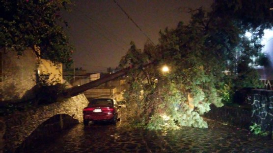 Para fortuna de los xalapapeños los daños fueron mínimos, solo fueron afectadas las líneas eléctricas, algunos semáforos descompuestos, así como varios arboles caídos. En los lugares donde regularmente hay derrumbes, no pasó nada.