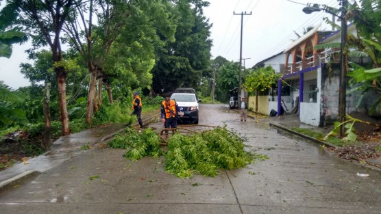 Las intensas lluvias acompañadas por las rachas violentas de aire que traía a su paso el huracán Franklin por la región norveracruzana, dejaron severos daños materiales en hoteles, viviendas, restaurantes así como en la zona de playas en la zona denominada como Costa Esmeralda.  