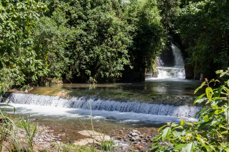 Posteriormente se trasladaron a la cascada de La Bola de Oro donde además de apreciar esa belleza natural conocieron el tipo de café que se cultiva en esa zona.
