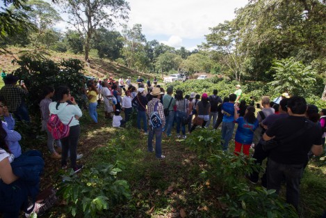 Como parte del 11 aniversario del nombramiento de Coatepec, Ver.como Pueblo Mágico, se iniciaron recorridos guiados gratuitosa lugares turísticos emblemáticos de esta ciudad.  