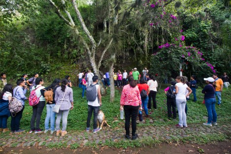 Como parte del 11 aniversario del nombramiento de Coatepec, Ver.como Pueblo Mágico, se iniciaron recorridos guiados gratuitosa lugares turísticos emblemáticos de esta ciudad.  