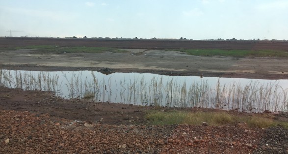 En el aspecto ecológico investigadores han acusado que la construcción de este aereopuerto afectaría a las aves migratorias ya que se construye en un vaso del ex lago de Texcoco, el cual se considera un lugar de descanso para estas especies, además de que es posible exista problemas de abasto de agua. 