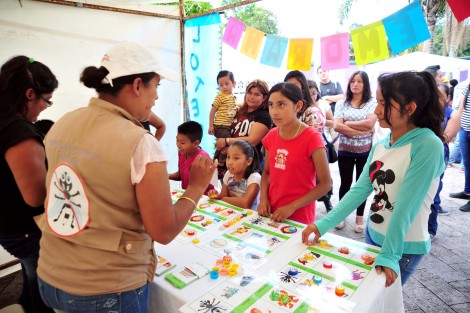 Con acciones de prevención y control del mosquito en las escuelas y colonias de Xalapa, el Ayuntamiento se sumó a la Segunda Jornada Nacional de Lucha contra el dengue, chikungunya y zika, que impulsa la Jurisdicción Sanitaria V como parte de la estrategia para reducir el número de enfermedades transmitidas por el mosquito en la localidad.
