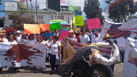 Cientos de personas cuya economía gira alrededor de los espectáculos con gallosy toros marcharon hacia la Plaza Lerdo en demanda de que no se vete esta actividad en el estado de Veracruz.