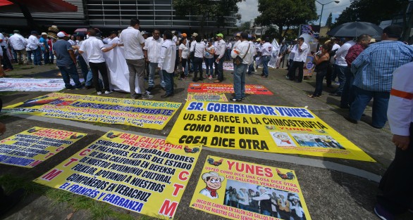 Miles de aficionados a las peleas de gallos y a la tauromaquia en Veracruz y otros estados, marcharon desde el Teatro del Estado  hasta el centro de la ciudad, para dialogar con autoridades de gobierno, luego de que el gobernador Miguel Ángel Yunes, vetara la reforma que volvía a permitir vaquilladas y peleas de gallos en el estado. 