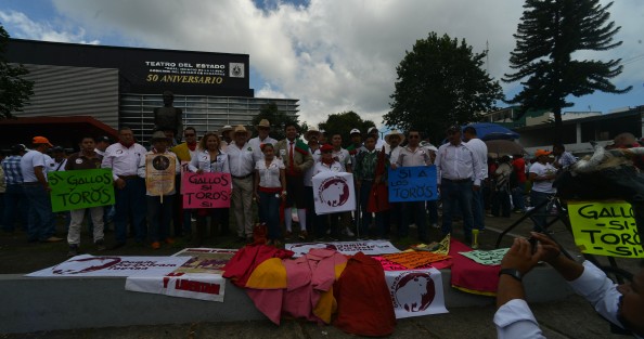 Miles de aficionados a las peleas de gallos y a la tauromaquia en Veracruz y otros estados, marcharon desde el Teatro del Estado  hasta el centro de la ciudad, para dialogar con autoridades de gobierno, luego de que el gobernador Miguel Ángel Yunes, vetara la reforma que volvía a permitir vaquilladas y peleas de gallos en el estado. 