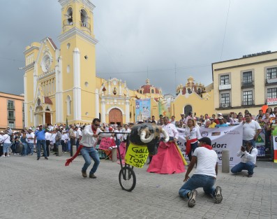 Miles de aficionados a las peleas de gallos y a la tauromaquia en Veracruz y otros estados, marcharon desde el Teatro del Estado hasta el centro de la ciudad, para dialogar con autoridades de gobierno, luego de que el gobernador Miguel Ángel Yunes, vetara la reforma que volvía a permitir vaquilladas y peleas de gallos en el estado. 