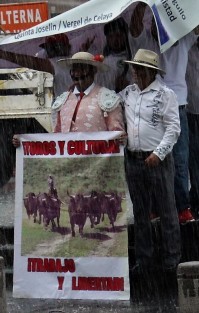 Galleros manifestantes tuvieron que buscar refugio del fuerte aguacero. Algunos aguantaron. 