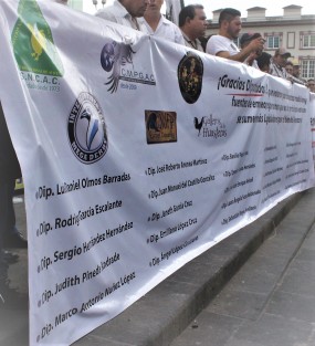 Megamarcha para apoyar la realización de vaquilladas y peeas de gallos en Veracruz. 