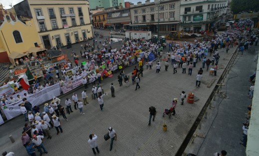 Con megamarcha piden al Gobernador que no se prohiban las vaquilladas y peleas de gallos. 