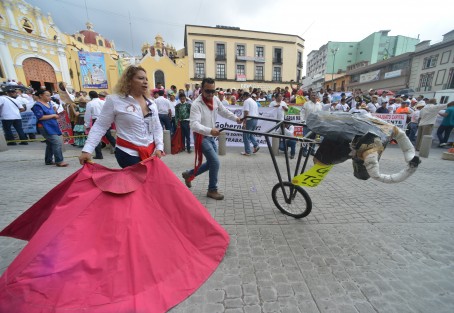 Con megamarcha piden al Gobernador que no se prohiban las vaquilladas y peleas de gallos. 