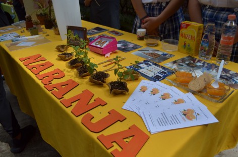 Como parte de la Semana Nacional de divulgación forestal, jóvenes de diversas instituciones educativas muestran en el parque Los Tecajetes, proyectos que contribuyen al mejoramiento del medio ambiente. 
