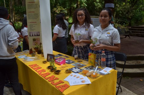 Como parte de la Semana Nacional de divulgación forestal, jóvenes de diversas instituciones educativas muestran proyectos que contribuyen al mejoramiento del medio ambiente, esto en el Parque de los Tecajetes. Este ciclo de actividades se replicará en 58 municipios veracruzanos. 