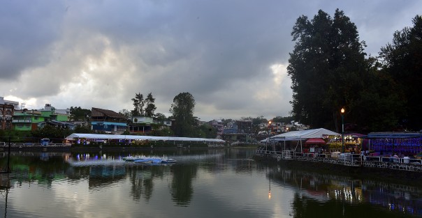 Esta semana continuará la expoventa en el Paseo de los Lagos de plantas y otros productos regionales, instalada como parte del Festival de las Flores Xalapa llena de luz.