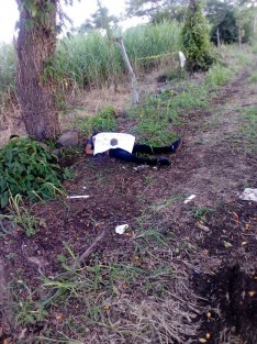 La víctima fue identificada como Esteban H. D., de 16 años de edad, con domicilio en la colonia Margarita Morán de la ciudad de Córdoba.