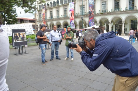 En el parque Juárez fue instalada una exposición fotográfica con las 10 imágenes finalistas del concurso realizado dentro del Festival de las Flores Xalapa llena de luz, al que se  convocó a fotorreporteros locales. El ganador se decidirá por votos en la página 