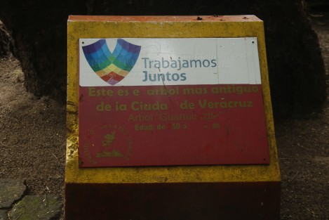 Mientras en el zoológico de Veracruz, Miguel Ángel de Quevedo, el dromedario de nombre Bin goza aparentemente de buena salud, hay otras cosas en el lugar que no se encuentran precisamente en la mejores condiciones.