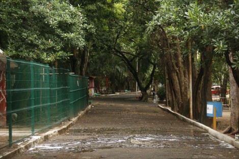 Mientras en el zoológico de Veracruz, Miguel Ángel de Quevedo, el dromedario de nombre Bin goza aparentemente de buena salud, hay otras cosas en el lugar que no se encuentran precisamente en la mejores condiciones.