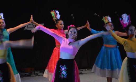 Con gran éxito se llevó a cabo Danza Festival el auditorio de la Sección 32 del SNTE, en la cual se presentaron los grupos Gala Ballet Xalapa- Colombia, Ballet Internacional del Estado de Veracruz y la Compañía Artística Danza Colombia.

