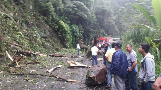 Debido a las lluvias de las últimas horas, se registró esta mañana un deslave en la carretera a Teocelo,  a la altura de la barranca Metlacoba, donde se vio interrumpido el paso vehicular por una hora. 