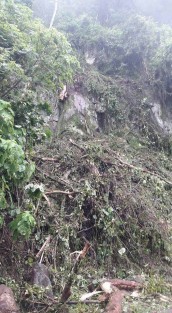 Debido a las lluvias de las últimas horas, se registró esta mañana un deslave en la carretera a Teocelo,  a la altura de la barranca Metlacoba, donde se vio interrumpido el paso vehicular por una hora. 