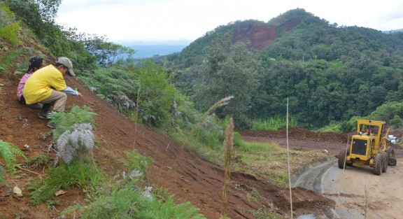 Con las lluvias de los recientes días colapsó otra parte de la carrtera Xalapa- Naolinco, así como el paso alterno que habían hecho  por parte la SIOP.
2
Por ahora trabajan en otro paso provisional para los miles de habitantes que utilizan esta carretetra; se espera que este aguante más,  en lo que se encuentran una solución definitiva.
