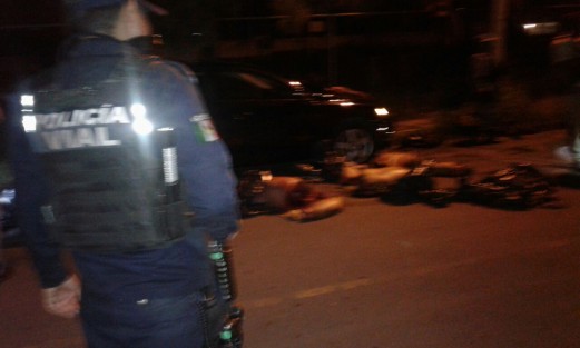 Junto a los cuerpos se encontraron cartulinas en las cuales se les adjudicaban actos delictivos a los descuartizados. 
 