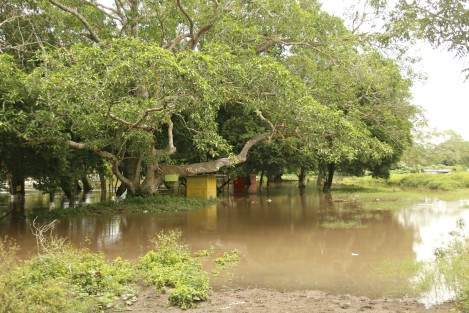 La creciente del Río Cotaxtla mantiene atentos a los habitantes de algunas comunidades asentadas a orillas de este afluente ante un posibles desbordamiento. 