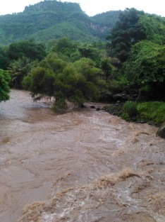 Tal y como se tenía previsto, los ríos aumentan su cauce. Así corría la tarde de este sábado el Chicuasen, en Actopan, Ver.. 