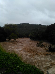 Tal y como se tenía previsto, los ríos aumentan su cauce. Así corría la tarde de este sábado el Chicuasen, en Actopan, Ver.. 