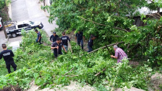 En Papantla aún continúan las acciones de limpieza por las afectaciones del huracán Katia, debido a los deslaves y caídas de árboles.