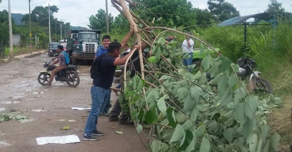 Este lunes un grupo de estudiantes del Instituto Tecnológico Superior de Zongolica campus Tezonapa, cerraron la carretera Estatal Tezonapa-Laguna Chica, en forma de protesta por las malas condiciones en las que se encuentra dicho tramo carretero. 